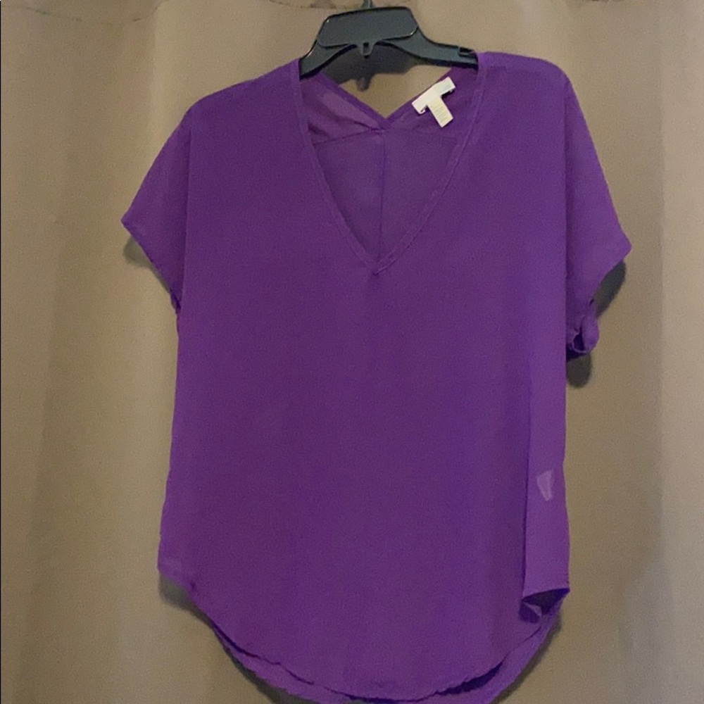Purple Sheer Blouse